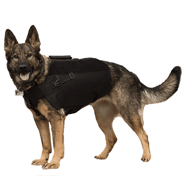 Detail Coyote Vest Pet Body Armor Nomer 21