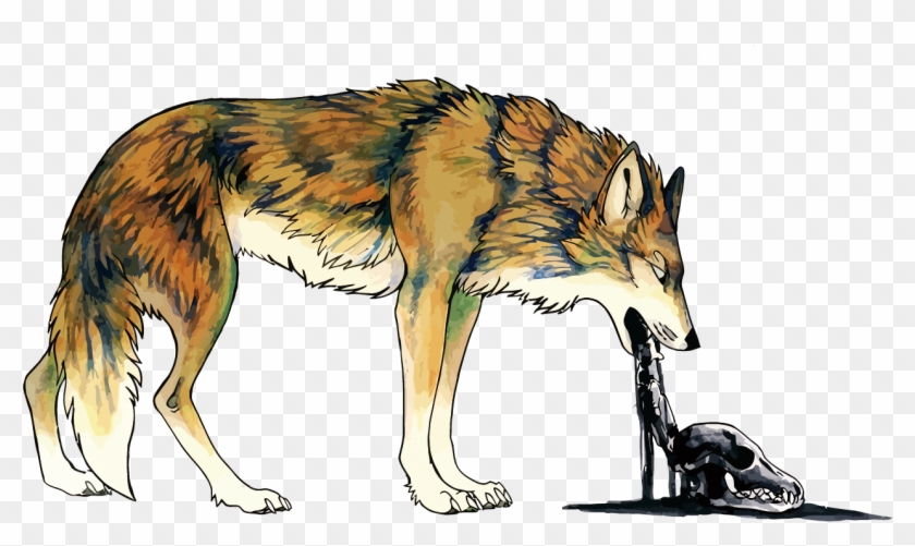 Detail Coyotes Clipart Nomer 31