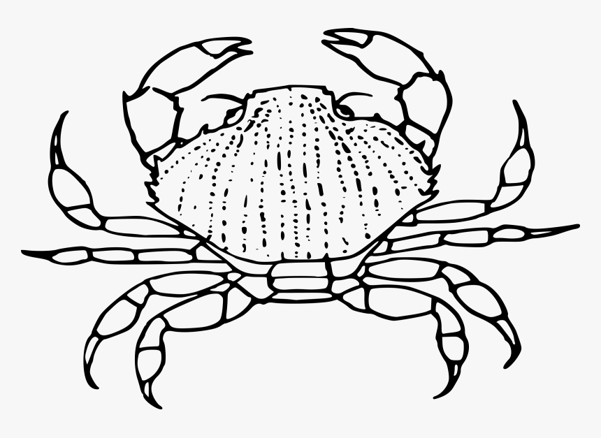 Detail Crab Clipart Black And White Nomer 11