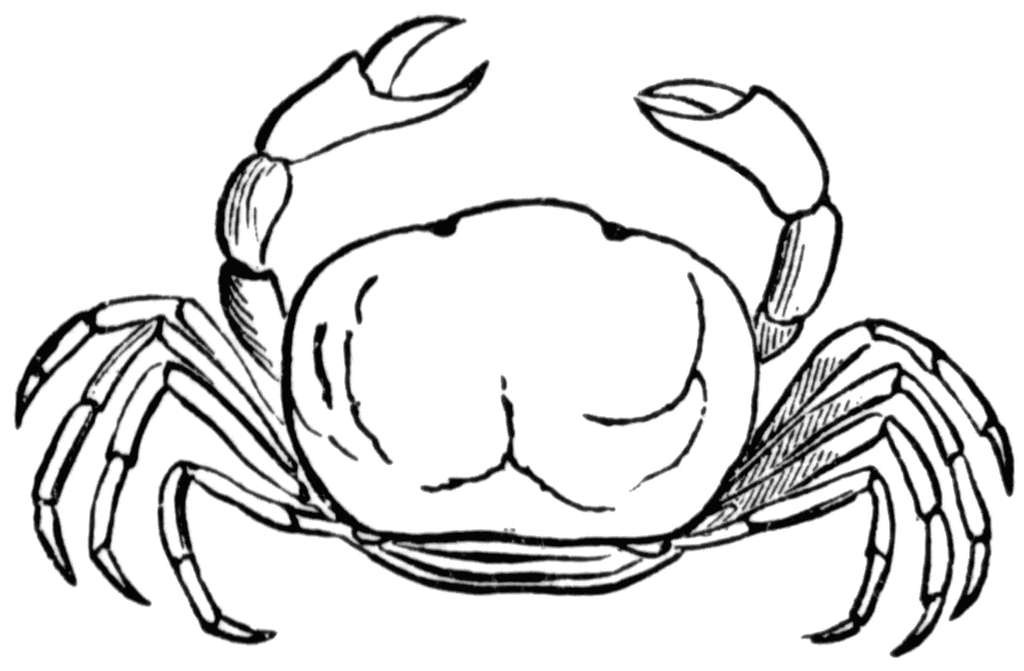 Detail Crab Clipart Black And White Nomer 17