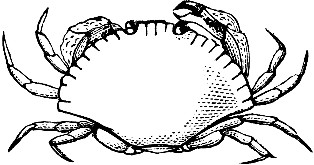 Detail Crab Clipart Black And White Nomer 21