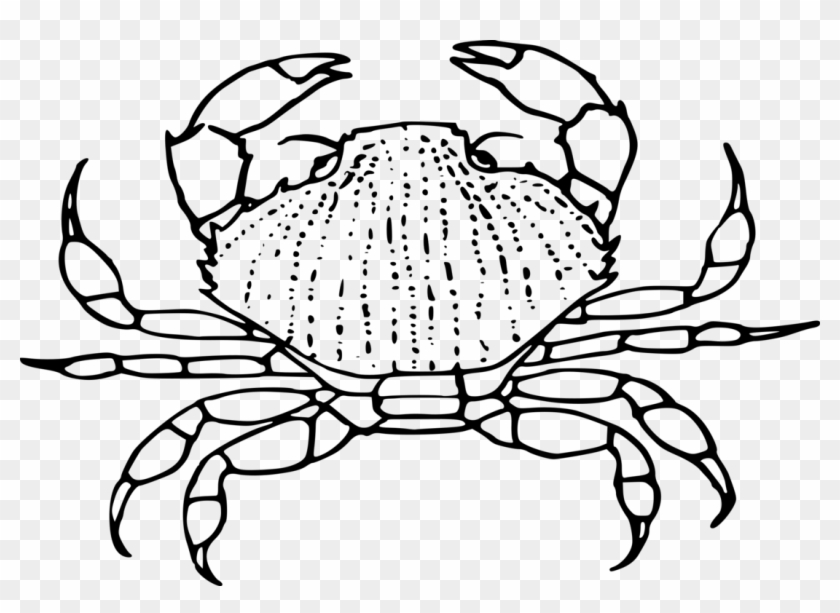 Detail Crab Clipart Black And White Nomer 31