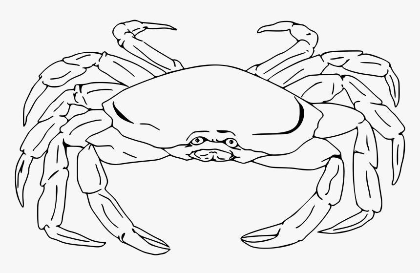 Detail Crab Clipart Png Nomer 37