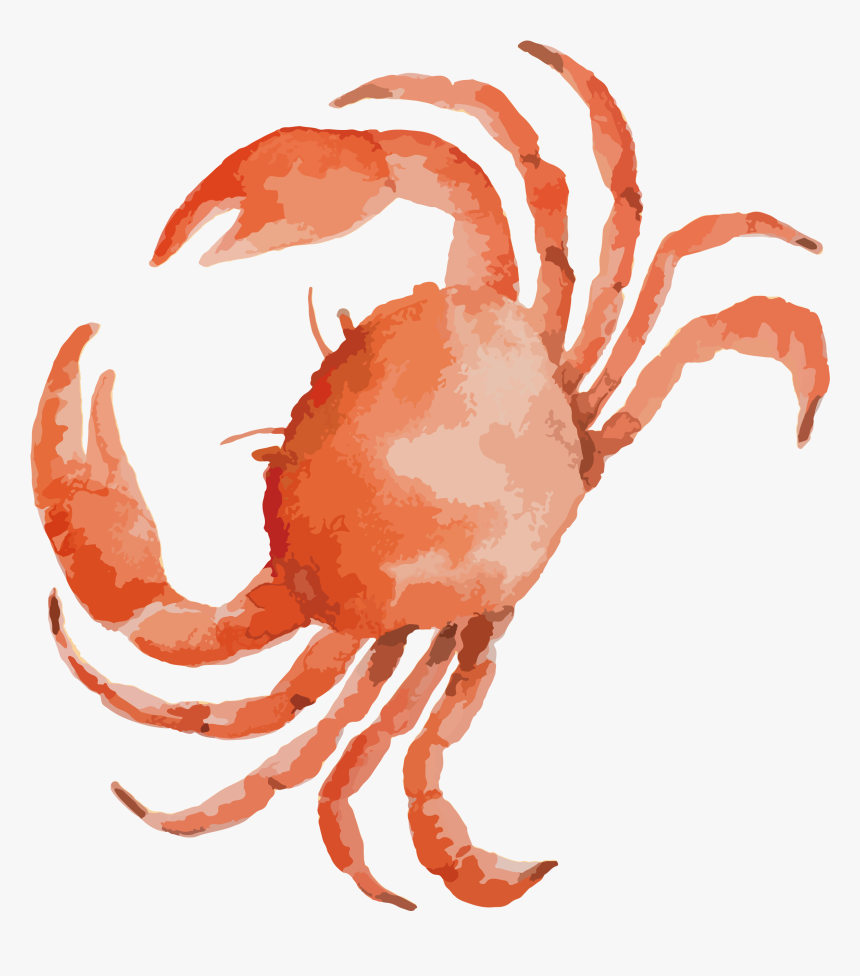 Detail Crab Clipart Png Nomer 40