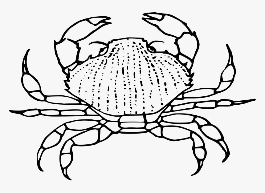 Detail Crab Clipart Png Nomer 44