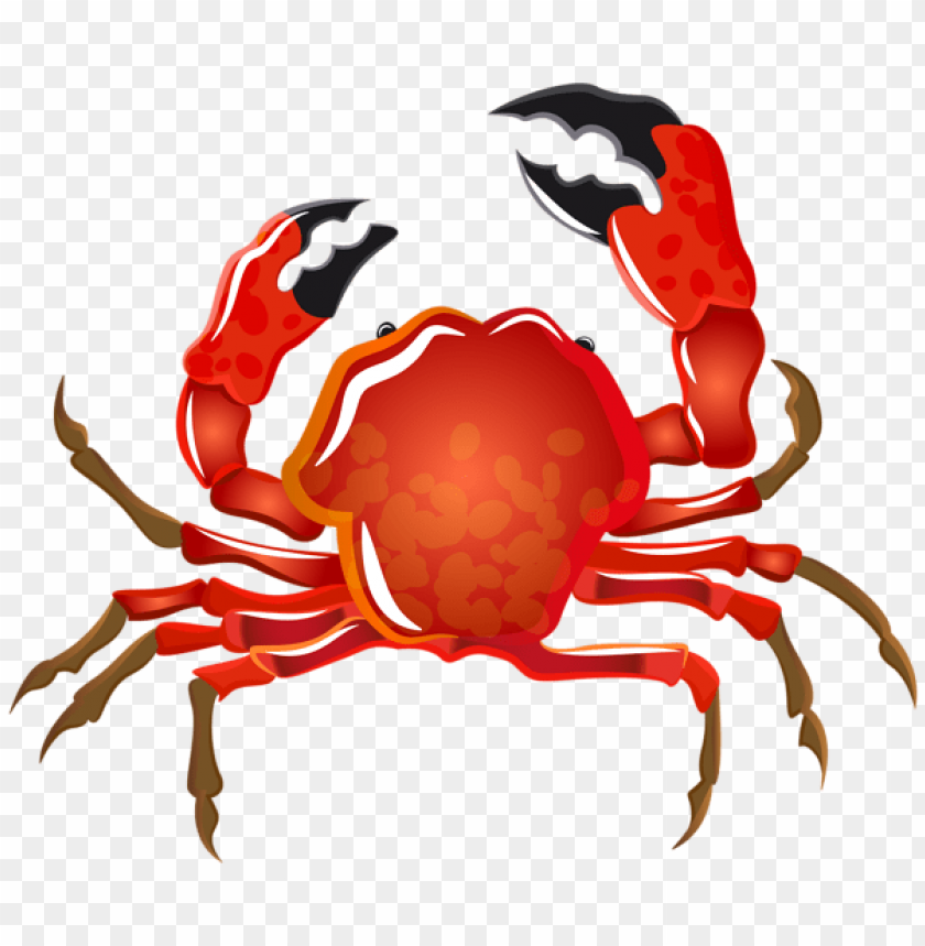 Detail Crab Clipart Png Nomer 6