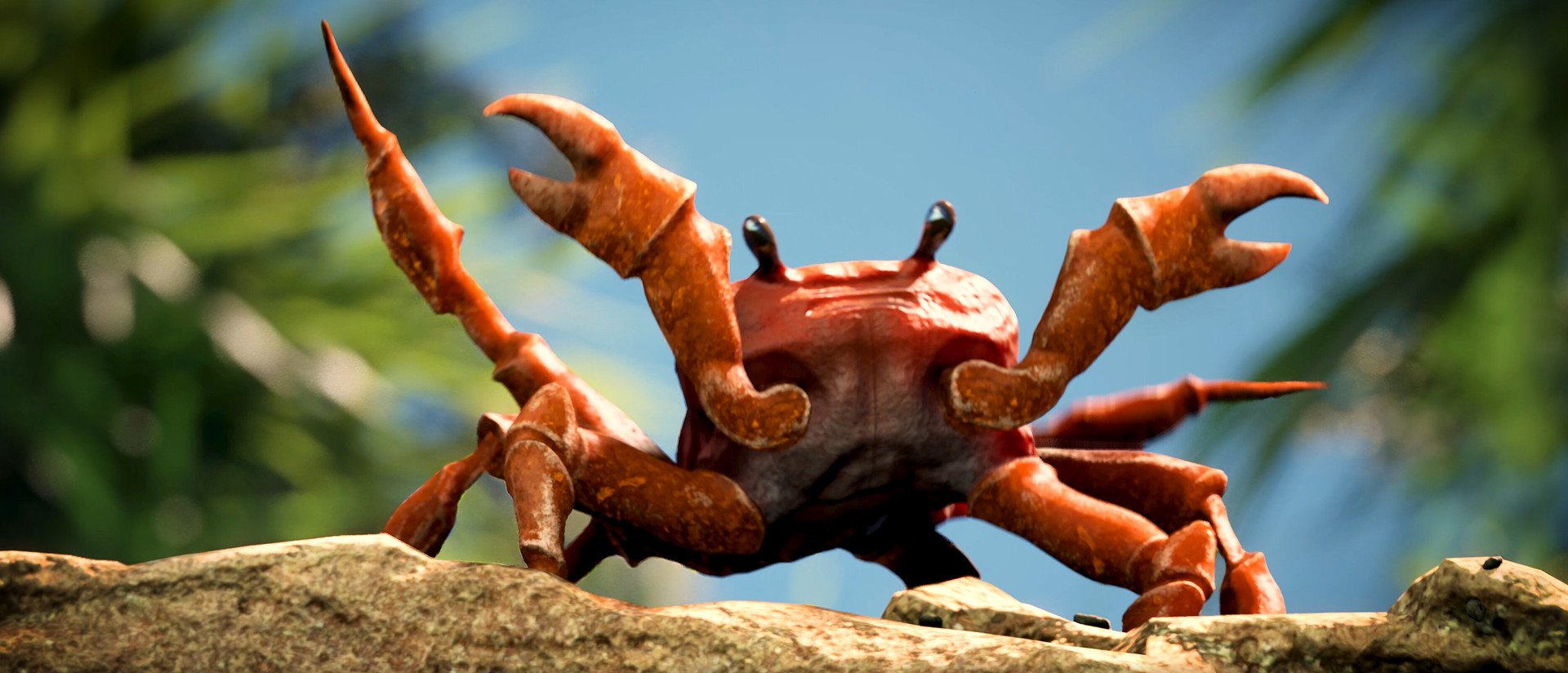Detail Crab Dance Meme Generator Nomer 2