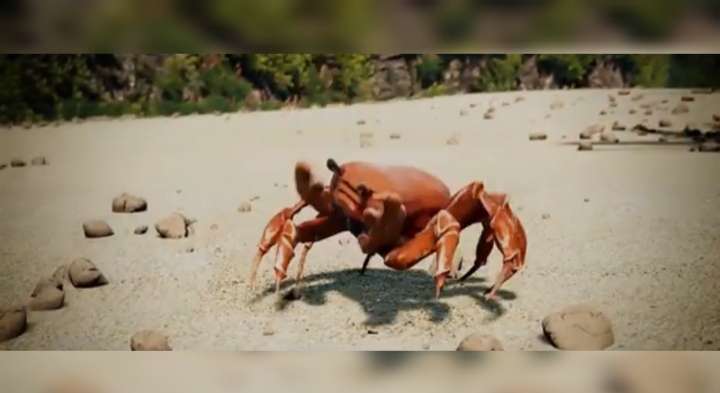 Detail Crab Dance Meme Generator Nomer 27