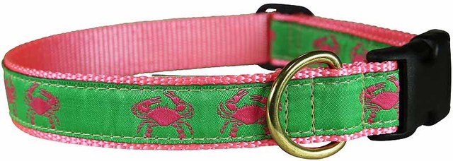 Detail Crab Dog Collar Nomer 30