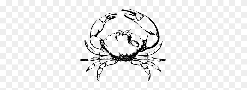 Detail Crab Icon Png Nomer 56