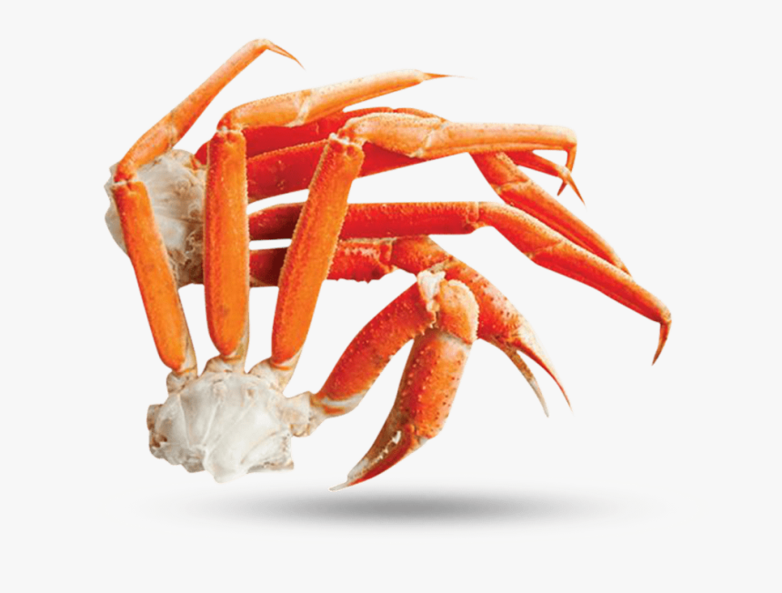 Crab Legs Png - KibrisPDR