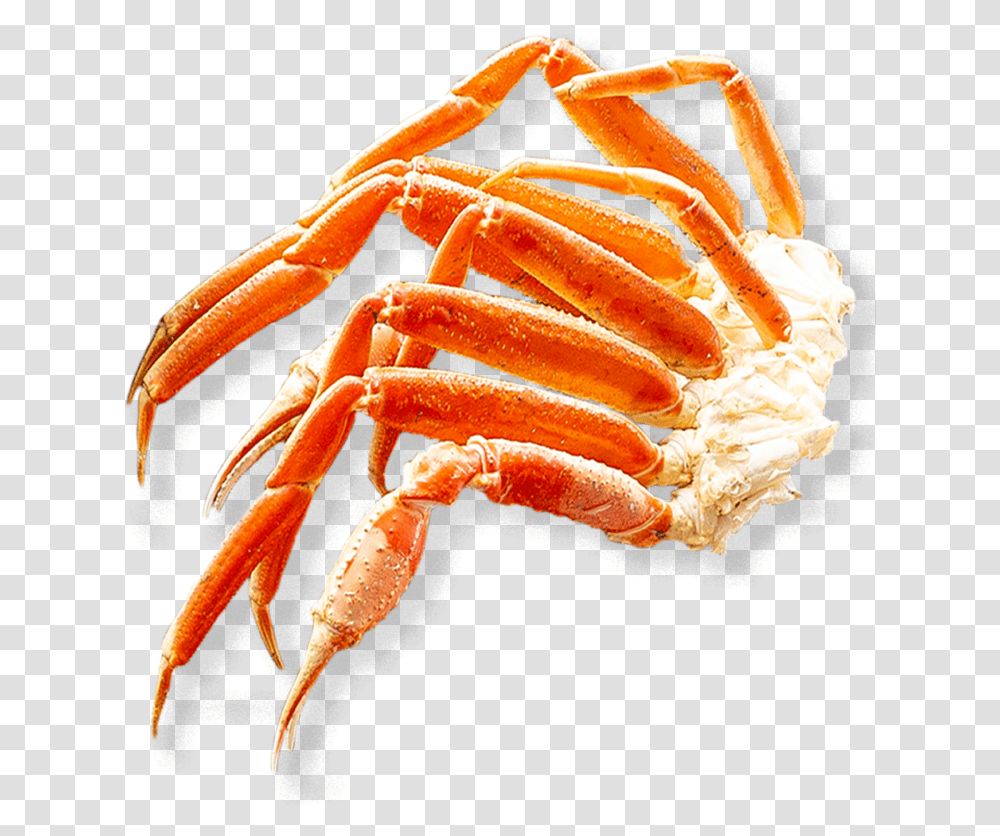 Detail Crab Legs Png Nomer 13