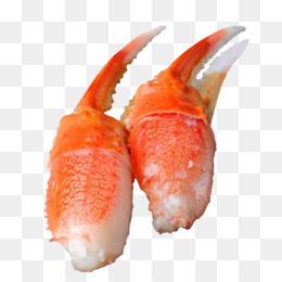 Detail Crab Legs Png Nomer 14