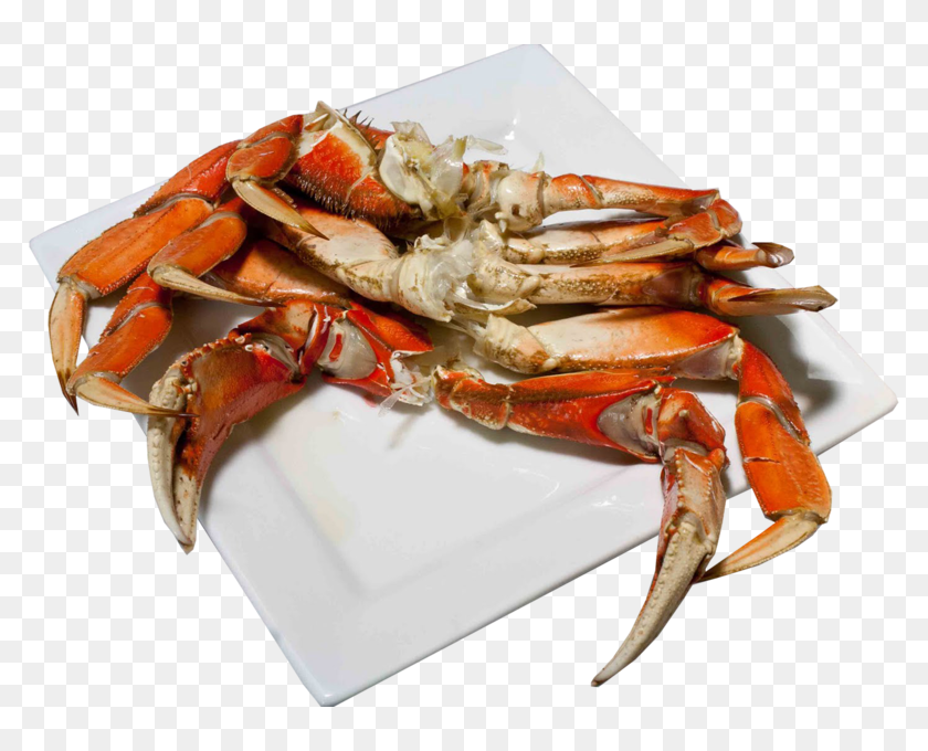 Detail Crab Legs Png Nomer 15