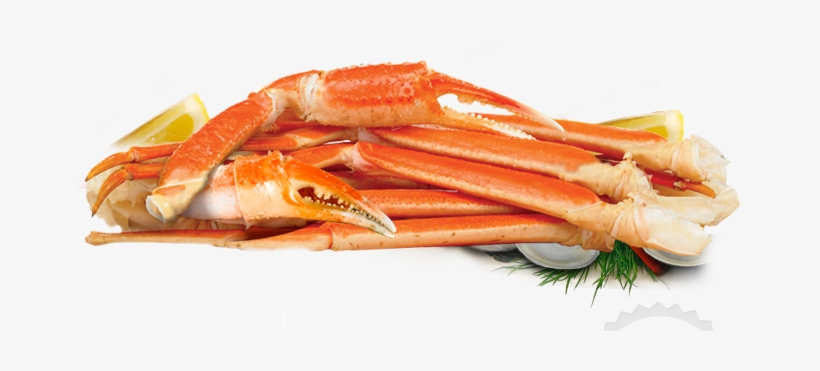 Detail Crab Legs Png Nomer 3