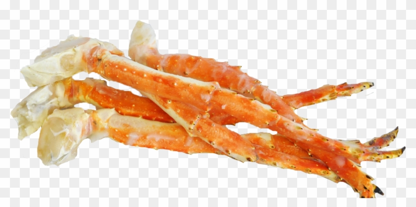 Detail Crab Legs Png Nomer 4