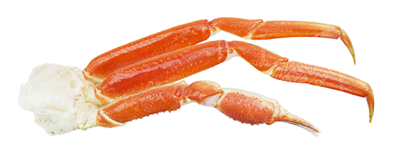 Detail Crab Legs Png Nomer 29