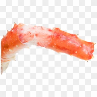 Detail Crab Legs Png Nomer 32