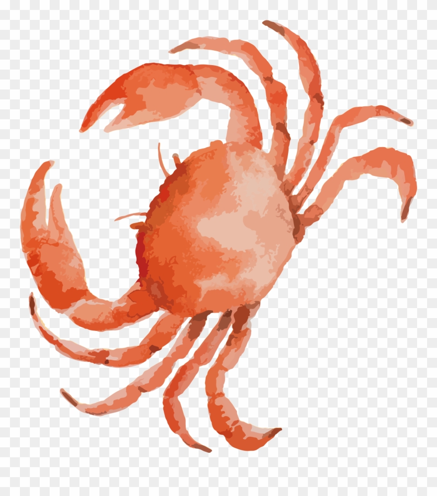 Detail Crab Legs Png Nomer 34