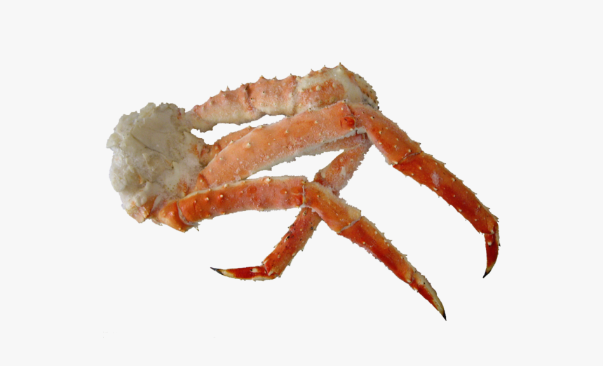 Detail Crab Legs Png Nomer 5