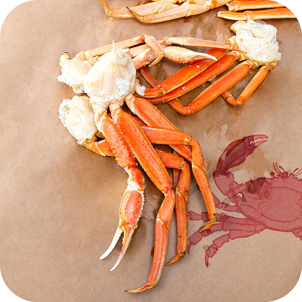 Detail Crab Legs Png Nomer 49