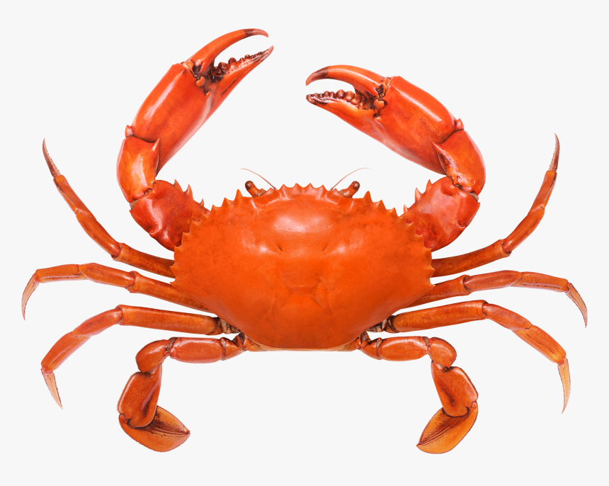 Detail Crab Legs Png Nomer 55