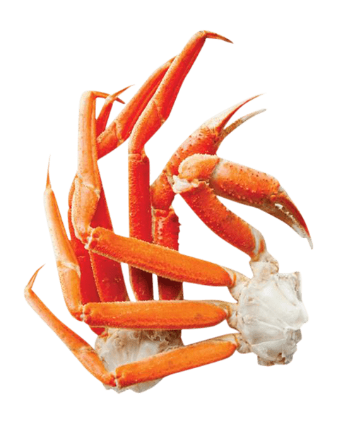 Detail Crab Legs Png Nomer 7