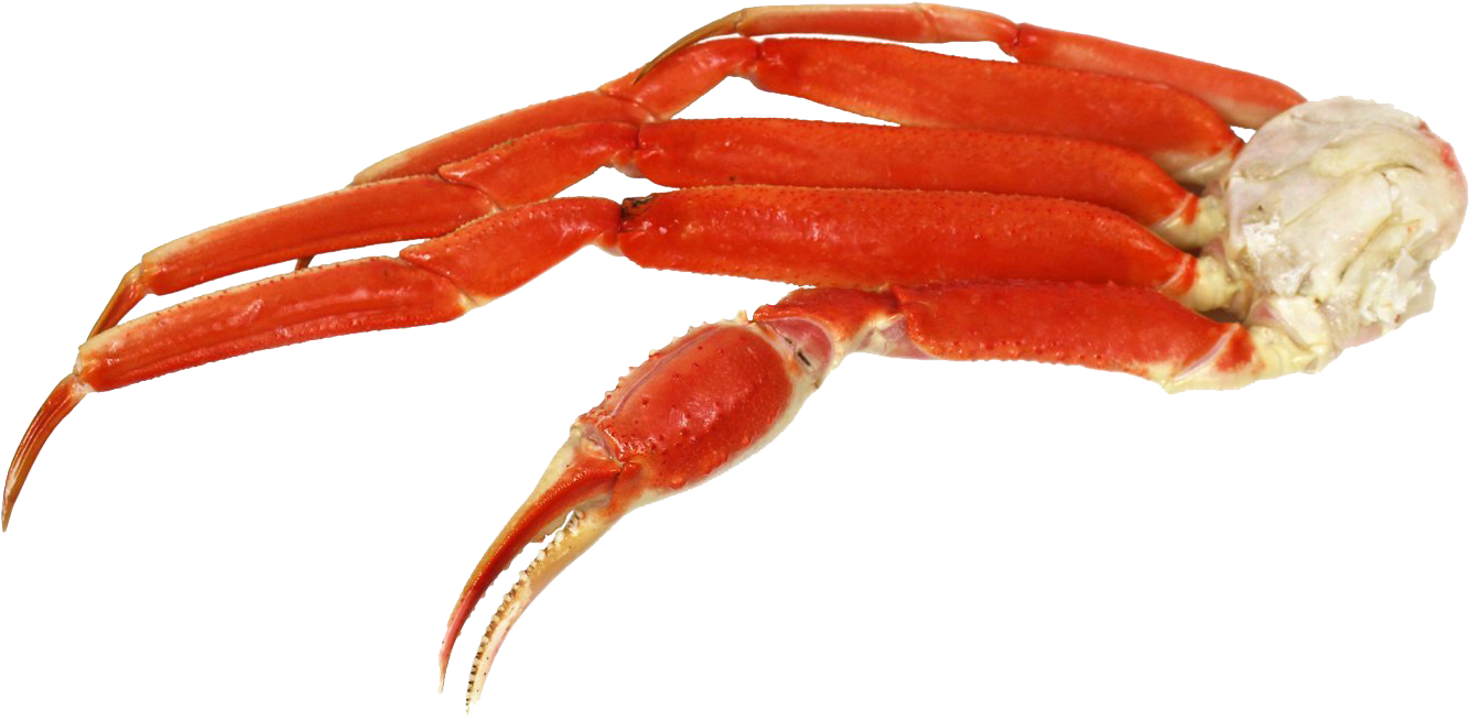 Detail Crab Legs Png Nomer 9