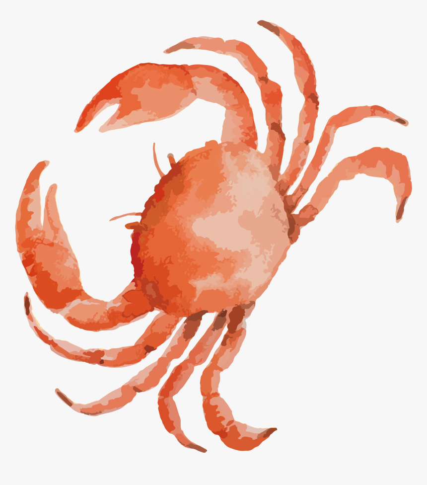 Detail Crab Png Clipart Nomer 50