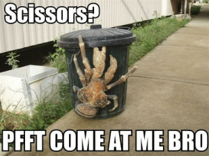 Detail Crab Scissors Meme Nomer 19