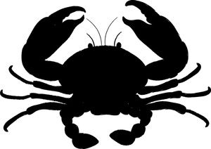 Detail Crab Silhouette Clip Art Nomer 18
