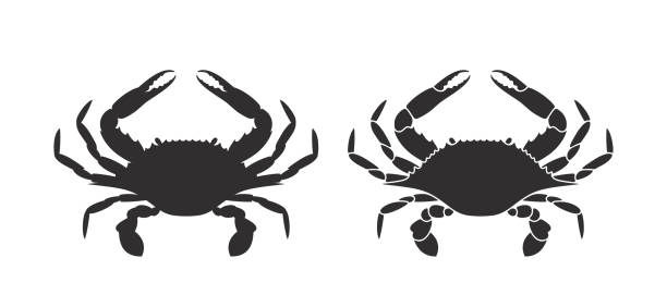 Detail Crab Silhouette Clip Art Nomer 6