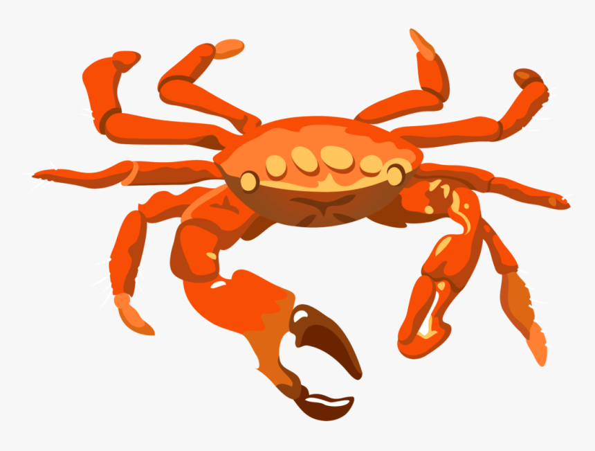 Detail Crab Transparent Background Nomer 9