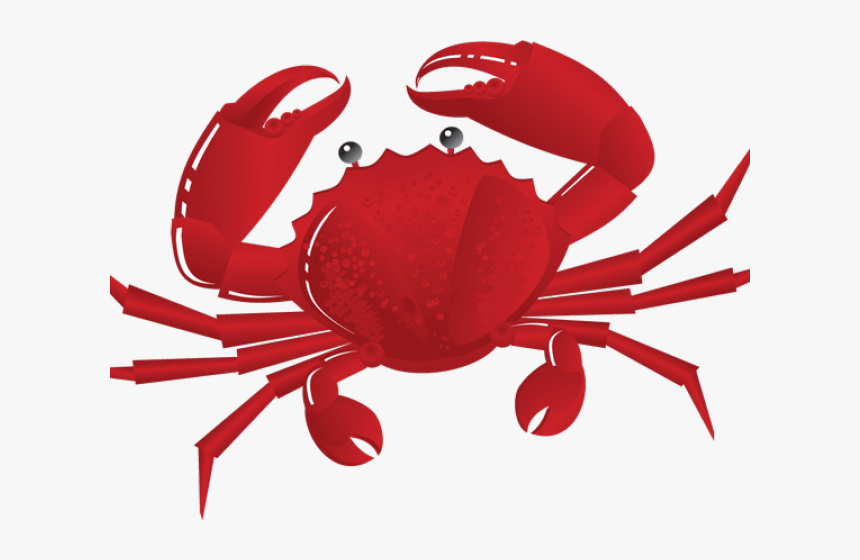 Detail Crab Transparent Background Nomer 12