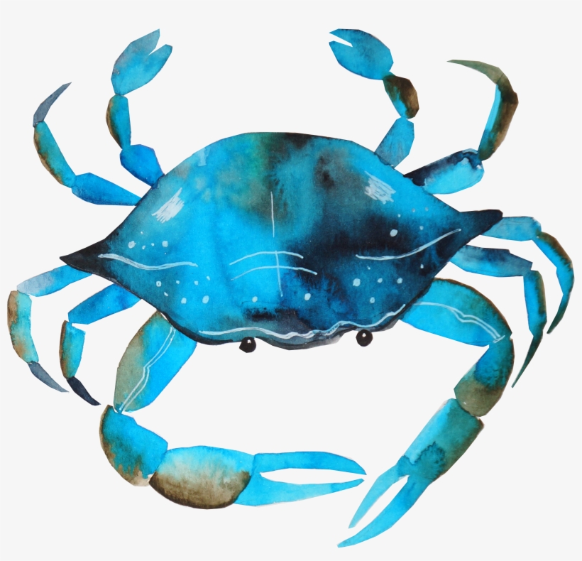 Detail Crab Transparent Background Nomer 32