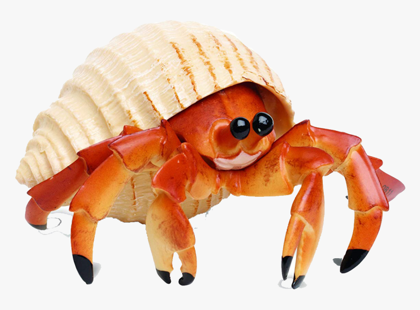 Detail Crab Transparent Background Nomer 41