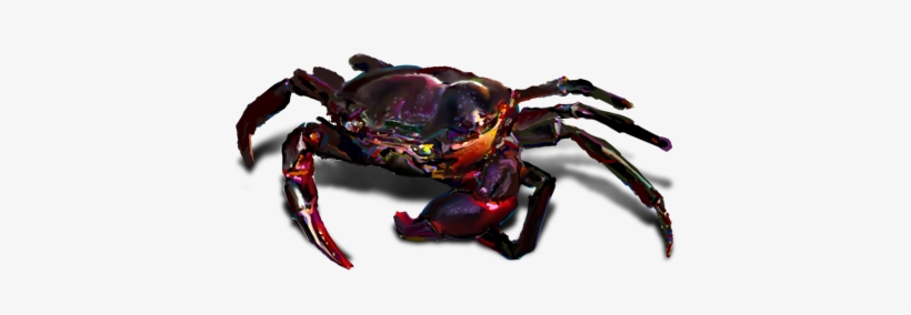 Detail Crab Transparent Background Nomer 43