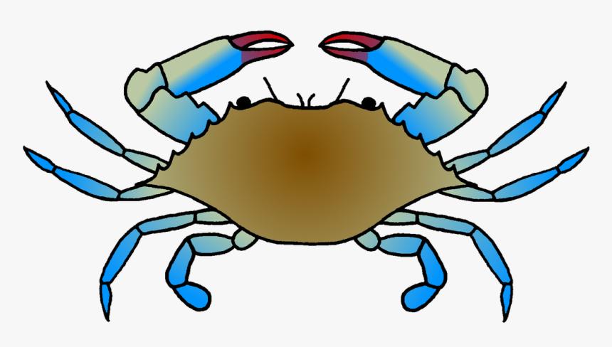 Detail Crab Transparent Background Nomer 47