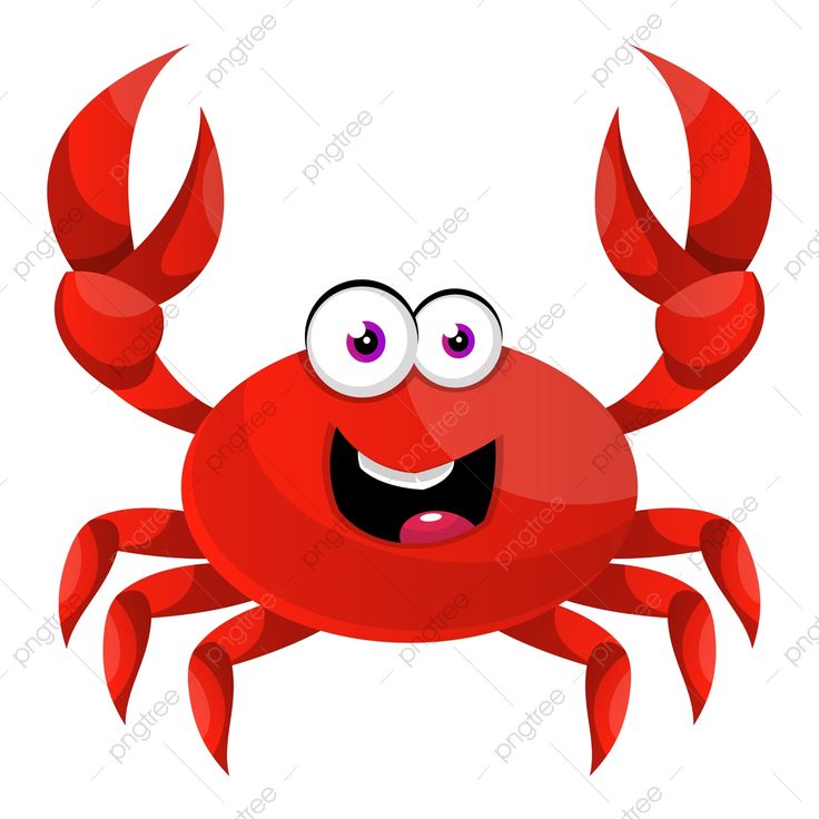 Detail Crab Vector Png Nomer 23