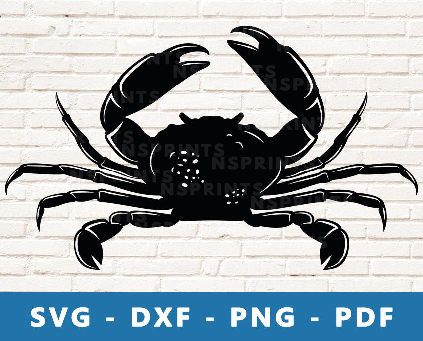 Detail Crab Vector Png Nomer 31