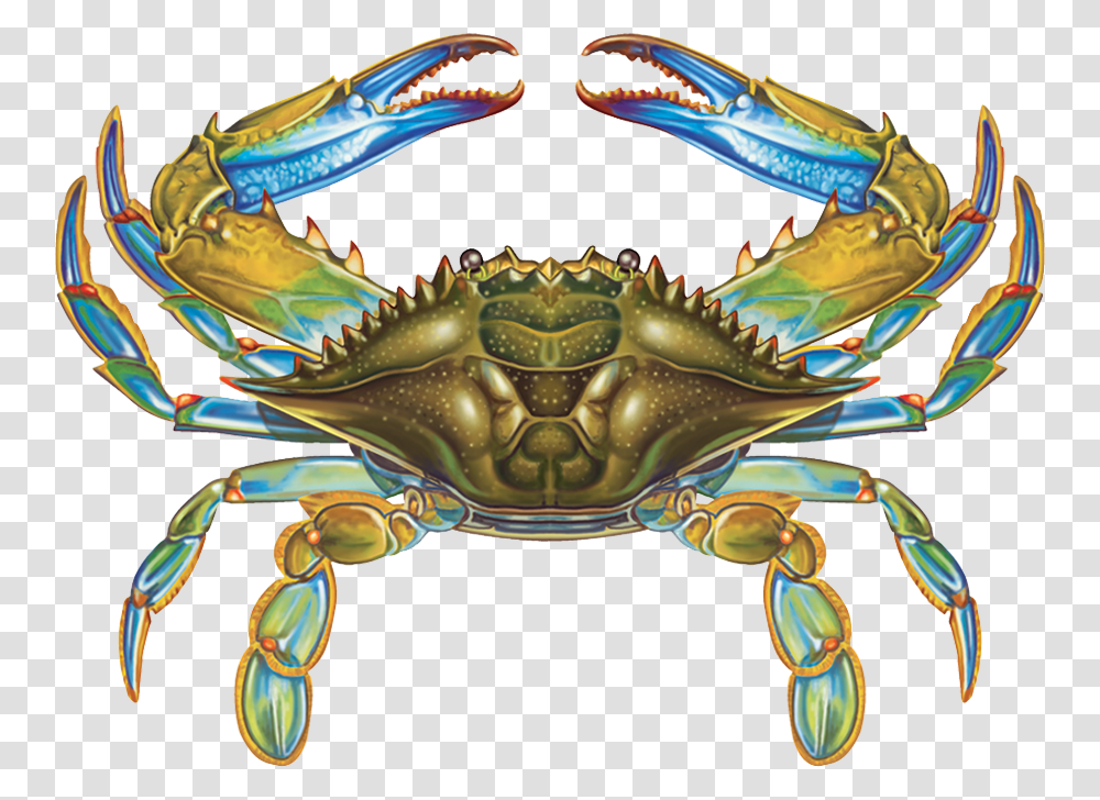 Detail Crab Vector Png Nomer 38