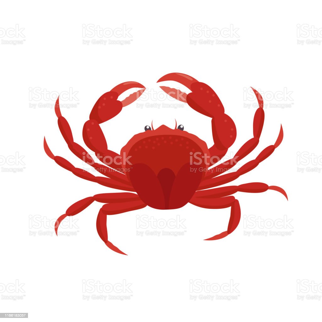 Detail Crab Vector Png Nomer 41