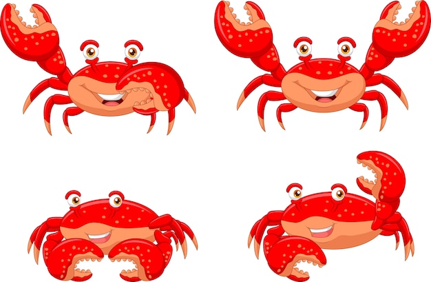 Detail Crab Vector Png Nomer 52