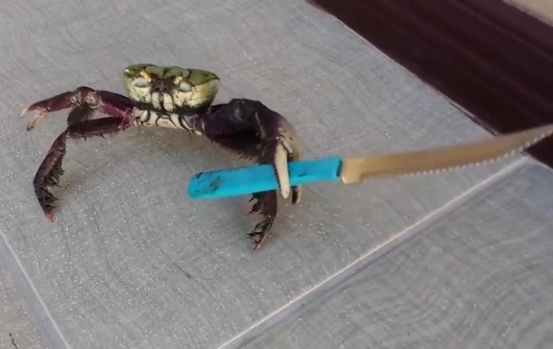 Detail Crab With A Knife Meme Nomer 19