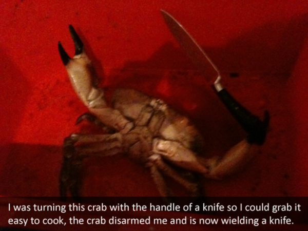 Detail Crab With A Knife Meme Nomer 8