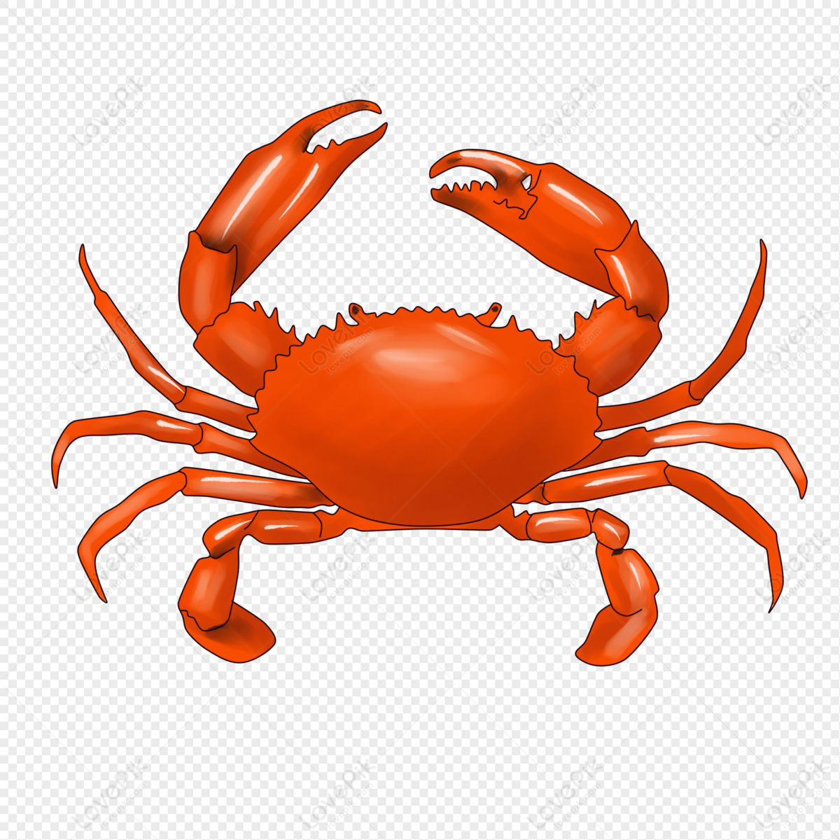 Detail Crabs Png Nomer 17