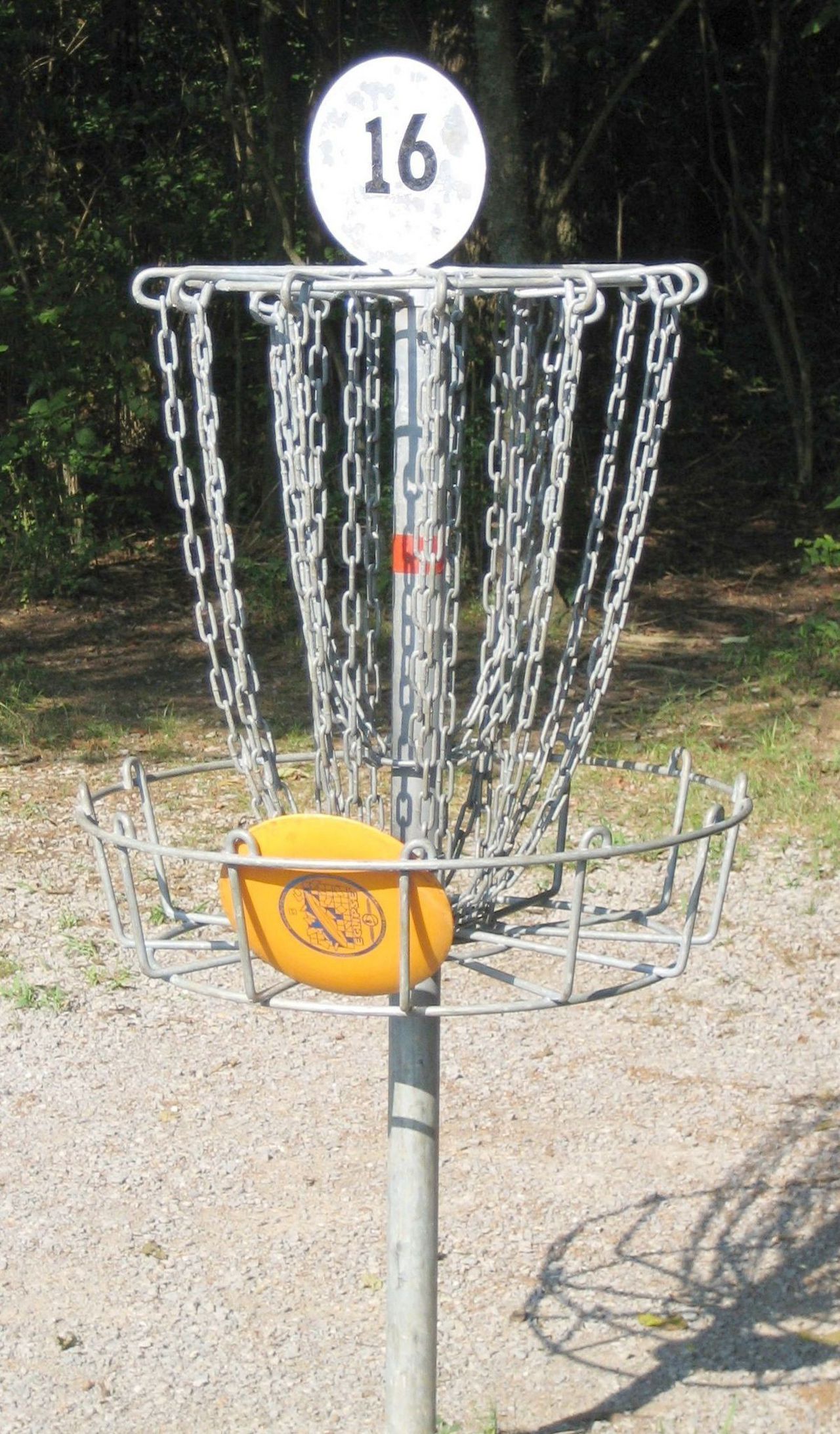 Crane 4 Player Disc Golf 57+ Koleksi Gambar