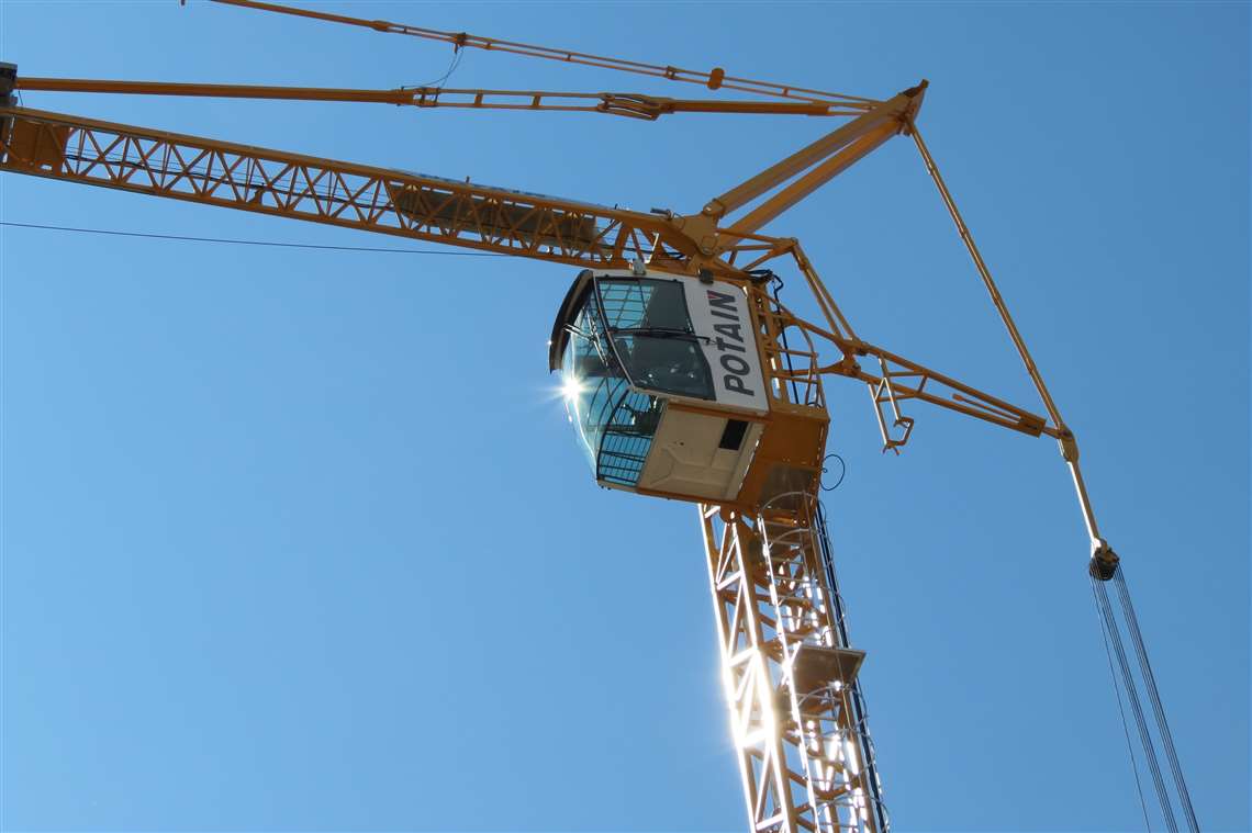 Detail Crane Images Nomer 29