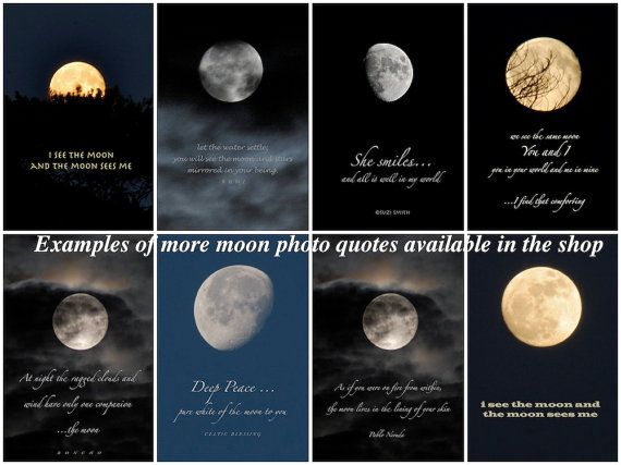 Detail Crescent Moon Quotes Nomer 12