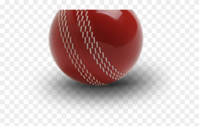 Detail Cricket Ball Png Nomer 19